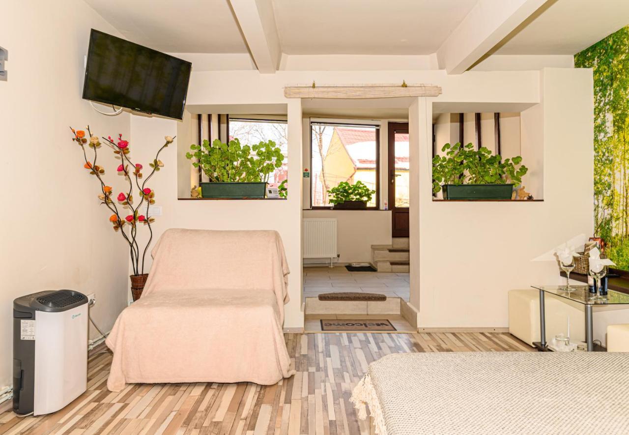 Geppetto'S Studio Brasov Ngoại thất bức ảnh