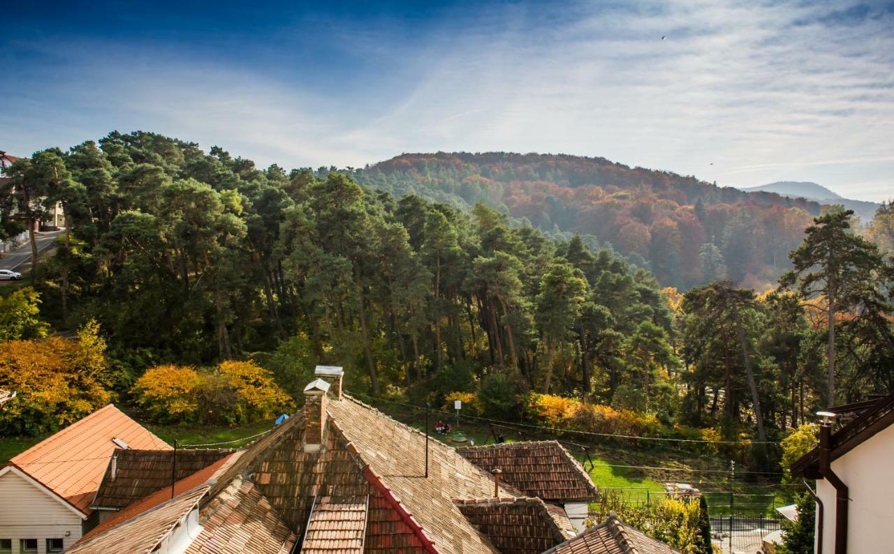 Geppetto'S Studio Brasov Ngoại thất bức ảnh