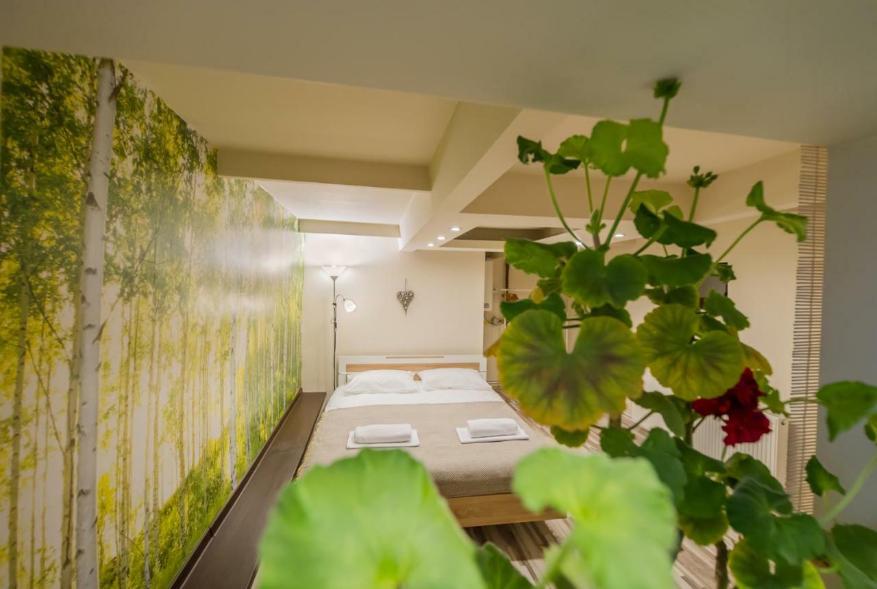 Geppetto'S Studio Brasov Ngoại thất bức ảnh